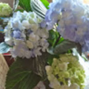 Meet your Posher, Chigginwang